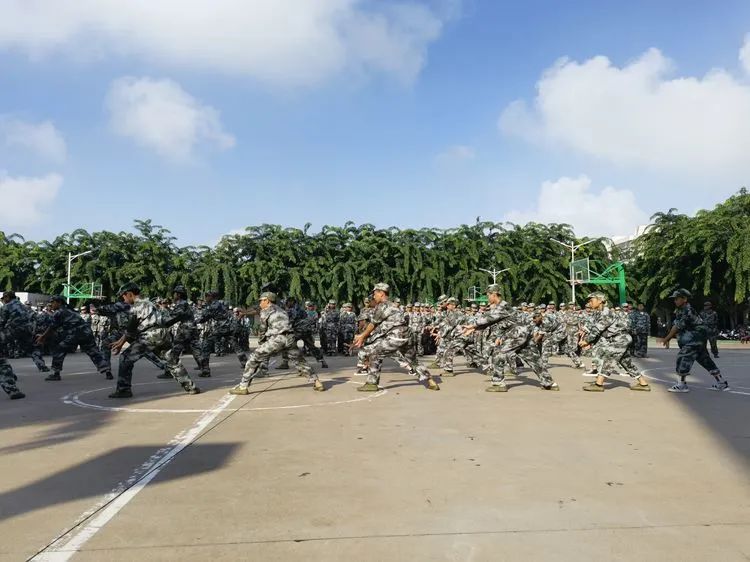 迷彩軍訓 青春無悔