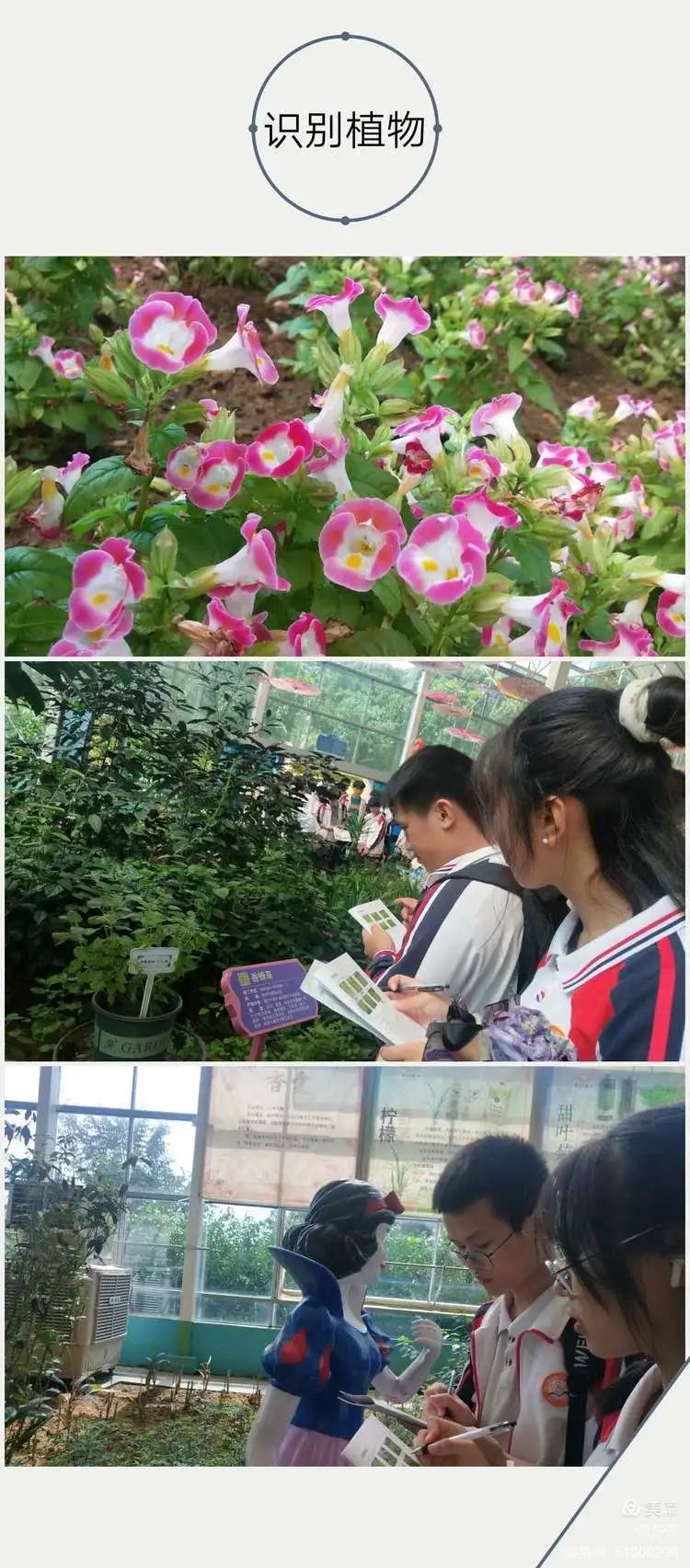 【校園動(dòng)態(tài)】賞花憶往昔——海口黃岡金盤高級(jí)中學(xué)高中部研學(xué)之旅