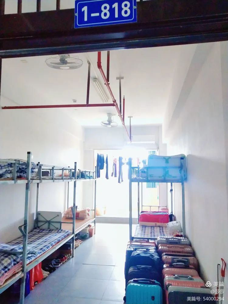 【校園動(dòng)態(tài)】倡導(dǎo)文明校風(fēng) 共建文明校園