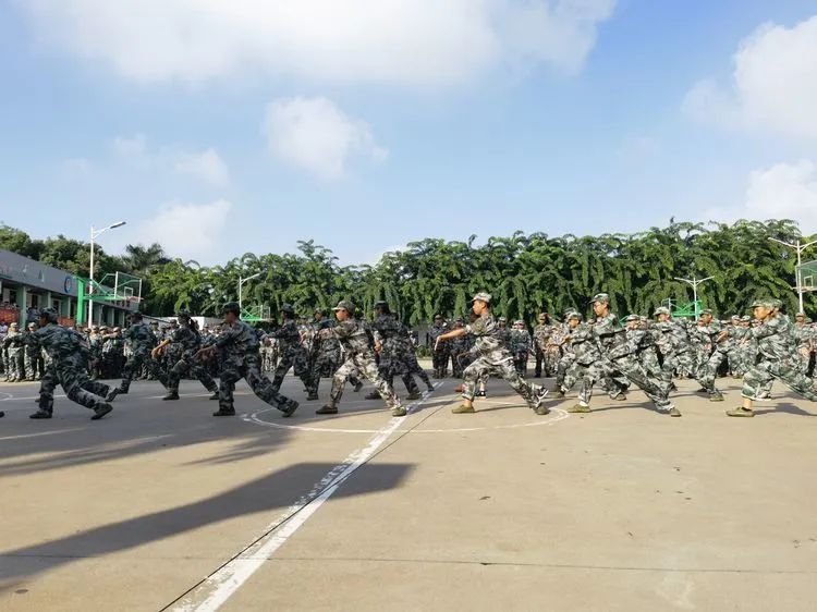迷彩軍訓 青春無悔